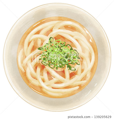 一幅逼真的俯視插圖，描繪了「烏龍麵」（烏龍麵湯）。 139205629