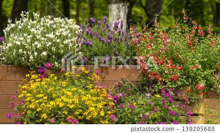 International Flower Exhibition 139205688