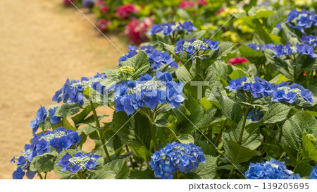 International Flower Exhibition International Flower Exhibition 139205695