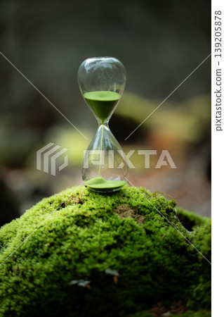 苔蘚森林和沙漏 139205878