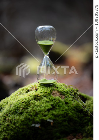 苔蘚森林和沙漏 139205879