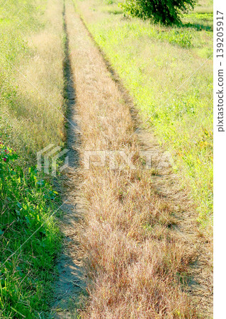 農場路 農場路 139205917