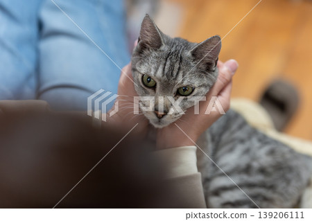 Owner petting a cat, tabby cat Owner petting a cat, tabby cat 139206111