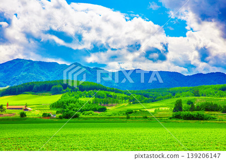 A rural landscape with vast greenery A rural landscape with vast greenery 139206147