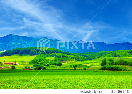 秋天越後國家風景 139206148