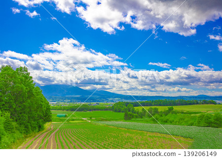廣闊的鄉村景觀 139206149