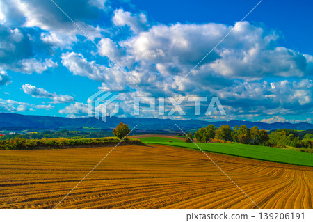 rural landscape rural landscape 139206191