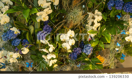 Western orchids 139206330