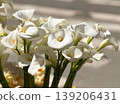 White calla lily bouquets in crates under sunlight at a flower stall with soft shadows. Cut flower trade, botanical elegance, wedding floristry, retail display and seasonal spring commerce. 139206431