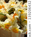Cream daffodil bouquet with orange trumpets in close sunlight at a flower stall. Spring bloom, narcissus detail, floral retail, petal texture, seasonal decoration and market freshness. 139206432