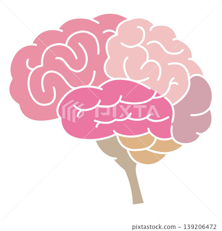 Brain region illustration (without lines) Brain region illustration (without lines) 139206472