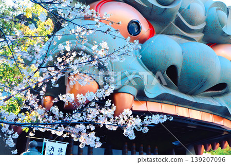 大阪難波八坂神社的巨型獅子與櫻花 139207096