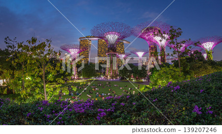 Futuristic aerial view of amazing illumination at Garden by the Bay day to night timelapse in Singapore. Futuristic aerial view of amazing illumination at Garden by the Bay day to night timelapse in Singapore. 139207246