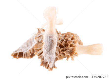 Morel mushroom isolated on white background. Morchella esculenta. Spring edible fungi. Clipping path. Morel mushroom isolated on white background. Morchella esculenta. Spring edible fungi. Clipping path. 139207768