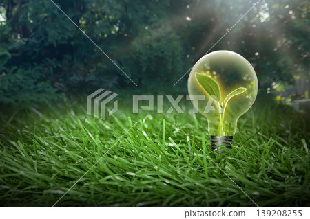 Small green plant growing inside a light bulb on a lush grass field, symbolizing sustainable energy, environmental conservation, and green innovation 139208255