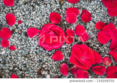 Red flowers scattered on the ground 139208558