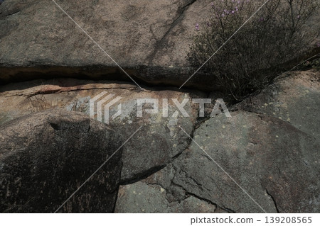 Tiny flowers blooming in rock crevices and a rugged landscape of natural stones. Tiny flowers blooming in rock crevices and a rugged landscape of natural stones. 139208565