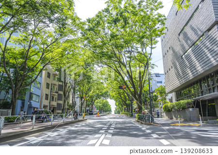 Urban landscape of Shibuya Ward, Tokyo: Tree-lined street in Yoyogi-Uehara Urban landscape of Shibuya Ward, Tokyo: Tree-lined street in Yoyogi-Uehara 139208633