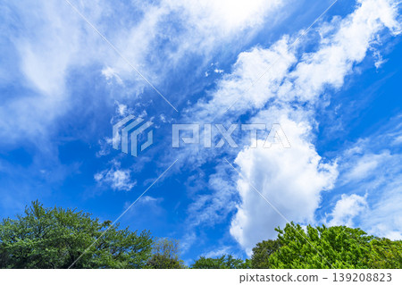 Spring blue sky, clouds, and grassland Spring blue sky, clouds, and grassland 139208823