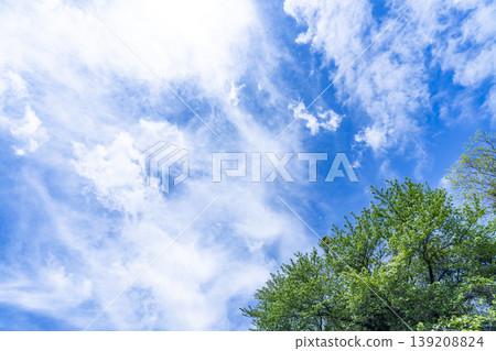 Spring blue sky, clouds, and grassland Spring blue sky, clouds, and grassland 139208824