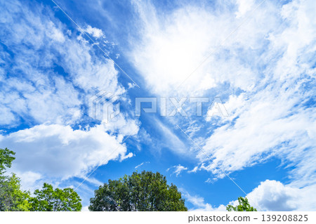 Spring blue sky, clouds, and grassland Spring blue sky, clouds, and grassland 139208825