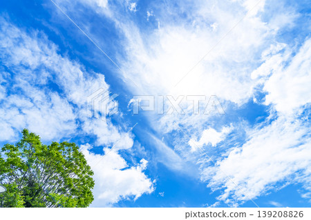 Spring blue sky, clouds, and grassland Spring blue sky, clouds, and grassland 139208826