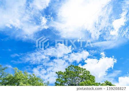 Spring blue sky, clouds, and grassland Spring blue sky, clouds, and grassland 139208827