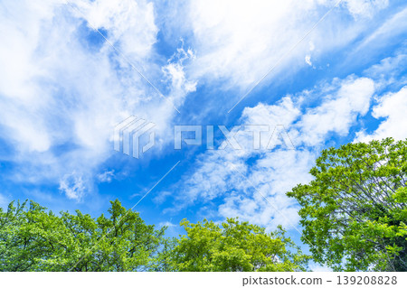 Spring blue sky, clouds, and grassland Spring blue sky, clouds, and grassland 139208828