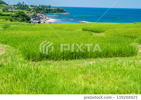 這張照片拍攝於京都府京丹後市丹後町出子,展現了沐浴在耀眼夏日陽光下的梯田。 這張照片拍攝於京都府京丹後市丹後町出子,展現了沐浴在耀眼夏日陽光下的梯田。 139208925