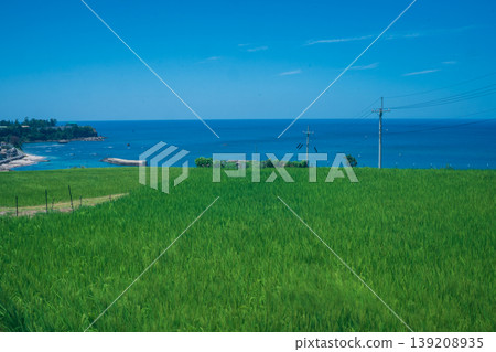 這張照片拍攝於京都府京丹後市丹後町出子,展現了沐浴在耀眼夏日陽光下的梯田。 這張照片拍攝於京都府京丹後市丹後町出子,展現了沐浴在耀眼夏日陽光下的梯田。 139208935