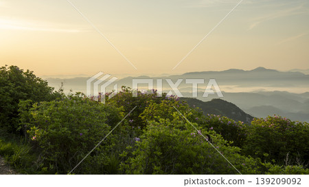Hwangmaesan 139209092