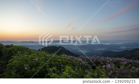 Hwangmaesan 139209215