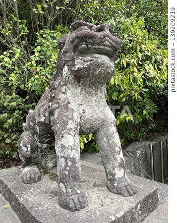 神社中的守護獅石像，張開嘴巴和閉嘴的守護獅雕像，守護獅的石雕。 139209219