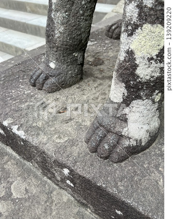 The feet of guardian lion-dogs at a shrine, stone statues of guardian lion-dogs, the cute feet of A-un guardian lion-dogs The feet of guardian lion-dogs at a shrine, stone statues of guardian lion-dogs, the cute feet of A-un guardian lion-dogs 139209220