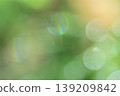 Sunlight filtering through trees (bokeh effect) 139209842