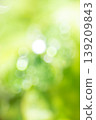 Vertical composition, blurred light and bokeh, green background. 139209843