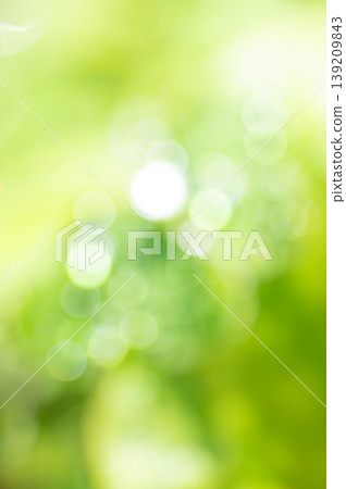 豎構圖,光線虛化和散景效果,綠色背景。 豎構圖,光線虛化和散景效果,綠色背景。 139209843