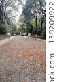 The long road is full of leaves 139209922