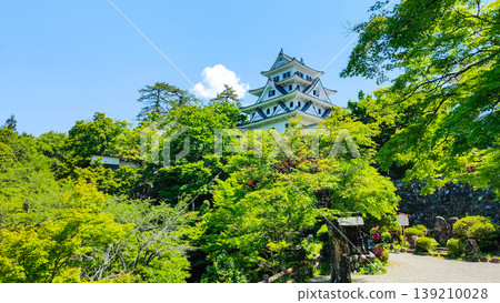 Gujo Hachiman Castle Gujo Hachiman Castle 139210028