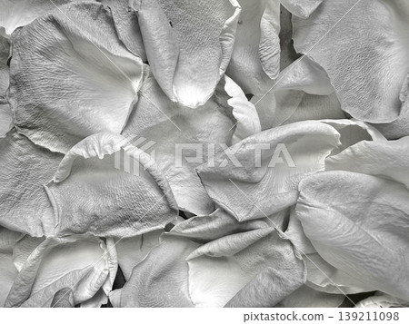 delicate white rose petals layered in soft grayscale texture evoking ethereal serenity for romantic wallpaper or elegant banner background 139211098