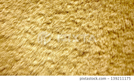 luxurious golden fur texture macro radiating warmth in soft waves for elegant wallpaper or sophisticated background luxurious golden fur texture macro radiating warmth in soft waves for elegant wallpaper or sophisticated background 139211175