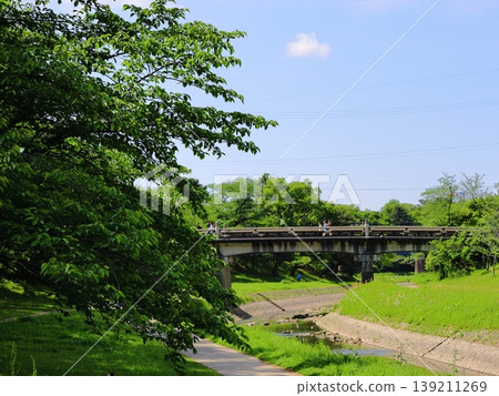 岡崎公園:竹千代橋和鬱鬱蔥蔥的綠植 岡崎公園:竹千代橋和鬱鬱蔥蔥的綠植 139211269