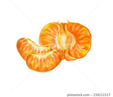 Watercolor illustration of a peeled tangerine or mandarin orange on an isolated background. One large half-section of the fruit alongside two separate, juicy segments. Realistic clipart is perfect for Watercolor illustration of a peeled tangerine or mandarin orange on an isolated background. One large half-section of the fruit alongside two separate, juicy segments. Realistic clipart is perfect for 139211517