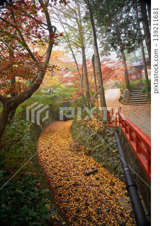 Photographing Jinzoji Temple, Kameoka City, Kyoto Prefecture, a famous spot for autumn leaves that is loved by locals Photographing Jinzoji Temple, Kameoka City, Kyoto Prefecture, a famous spot for autumn leaves that is loved by locals 139211681