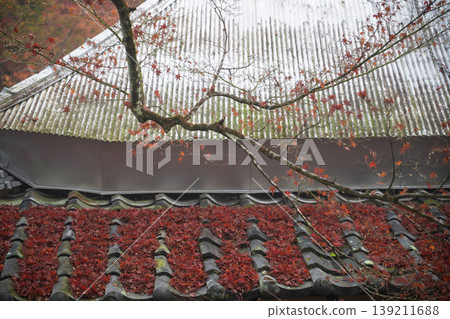 Photographing Jinzoji Temple, Kameoka City, Kyoto Prefecture, a famous spot for autumn leaves that is loved by locals 139211688