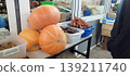 Vibrant display of autumn harvest vegetables sits on a market stall. Three large, pale orange pumpkins are stacked beside plastic bins filled with fresh carrots and dark beets, ready for sale 139211740