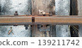 Top-down view shows a rusty railway track joint secured with heavy iron bolts and plates. The rail rests on a weathered wooden sleeper, surrounded by dirty, melting snow during the spring thaw 139211742
