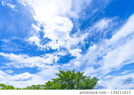 春日藍天,白雲朵朵,綠葉蔥蘢。 春日藍天,白雲朵朵,綠葉蔥蘢。 139211815