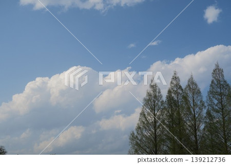 The spring blue sky and white clouds at Akebonoyama Agricultural Park 139212736