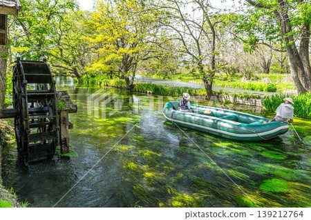 Scenery of Daio Wasabi Farm @ Azumino Scenery of Daio Wasabi Farm @ Azumino 139212764